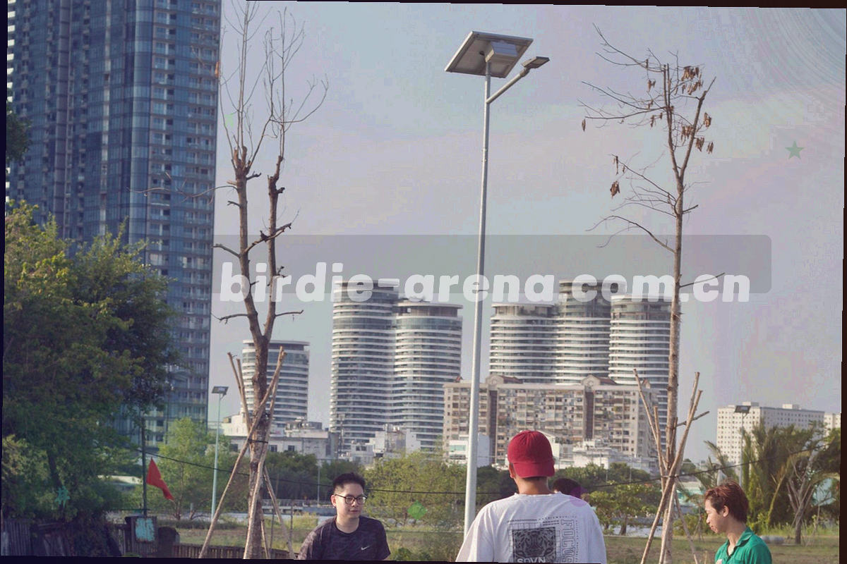 球门网与数据线叠加的抽象画面